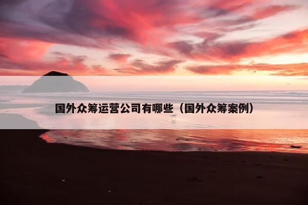 国外众筹运营公司有哪些（国外众筹案例）