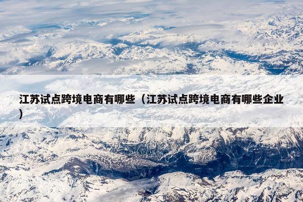 江苏试点跨境电商有哪些（江苏试点跨境电商有哪些企业）