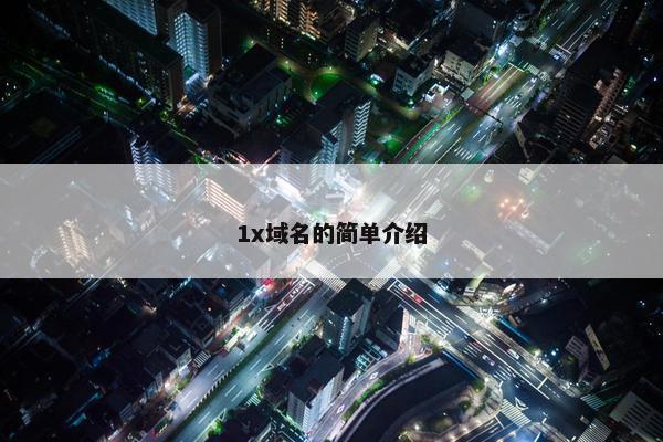 1x域名的简单介绍