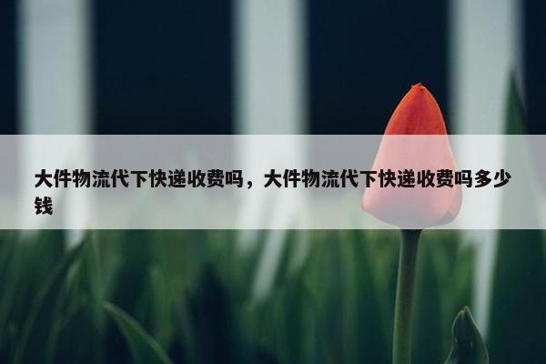 大件物流代下快递收费吗，大件物流代下快递收费吗多少钱