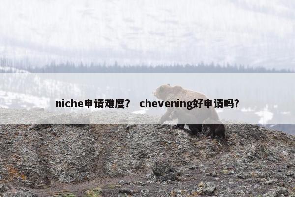 niche申请难度？ chevening好申请吗？