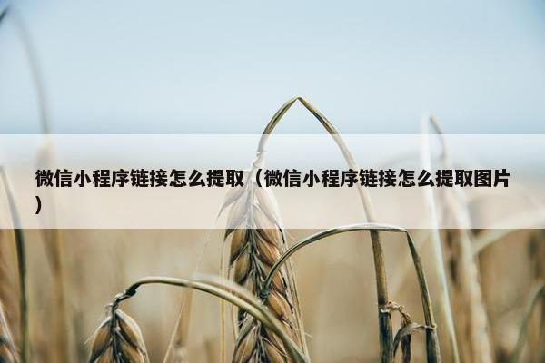 微信小程序链接怎么提取（微信小程序链接怎么提取图片）