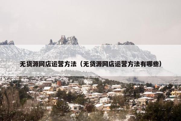无货源网店运营方法（无货源网店运营方法有哪些）