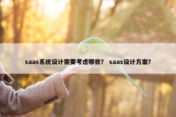 saas系统设计需要考虑哪些？ saas设计方案？