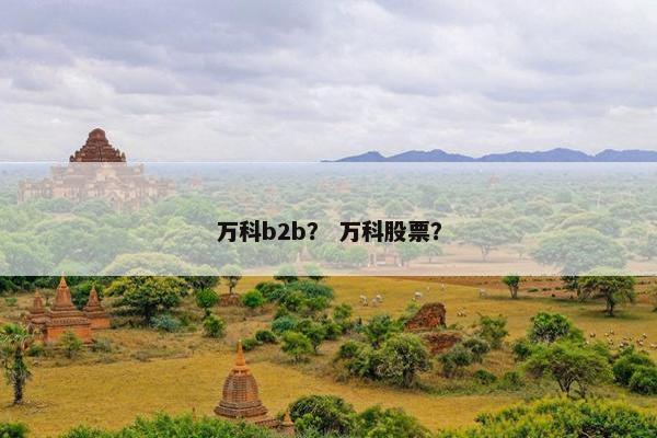 万科b2b？ 万科股票？