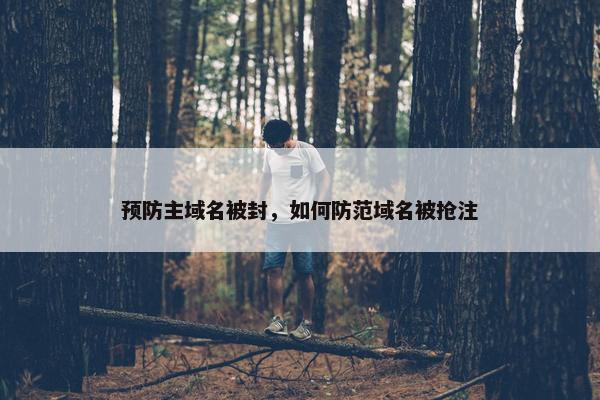预防主域名被封，如何防范域名被抢注