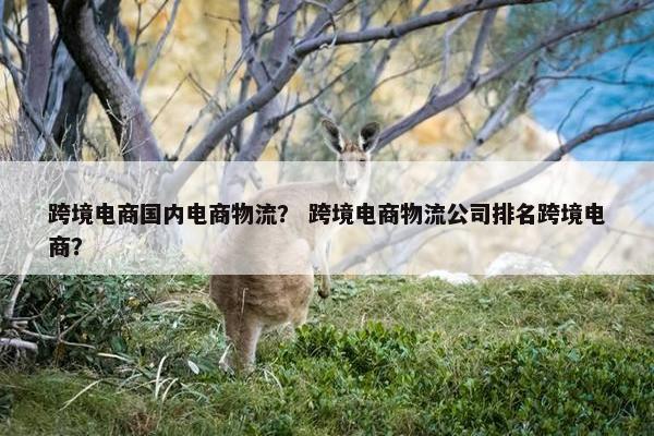 跨境电商国内电商物流？ 跨境电商物流公司排名跨境电商？