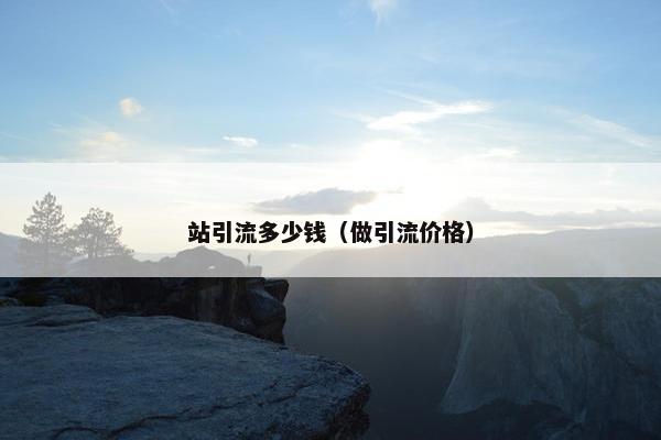站引流多少钱（做引流价格）