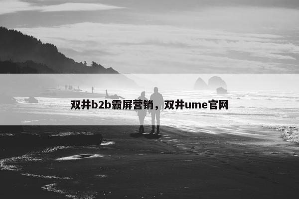 双井b2b霸屏营销，双井ume官网