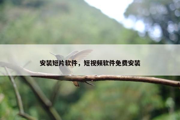 安装短片软件，短视频软件免费安装
