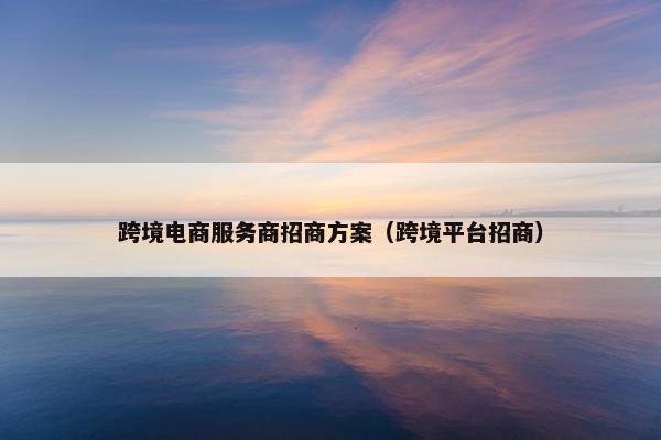 跨境电商服务商招商方案（跨境平台招商）