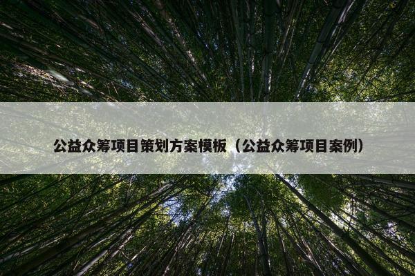 公益众筹项目策划方案模板（公益众筹项目案例）