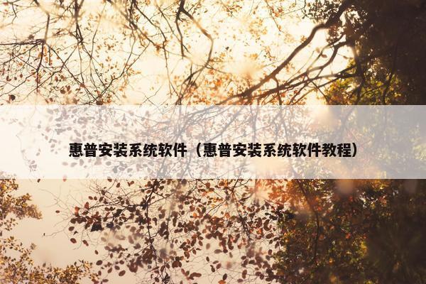 惠普安装系统软件（惠普安装系统软件教程）
