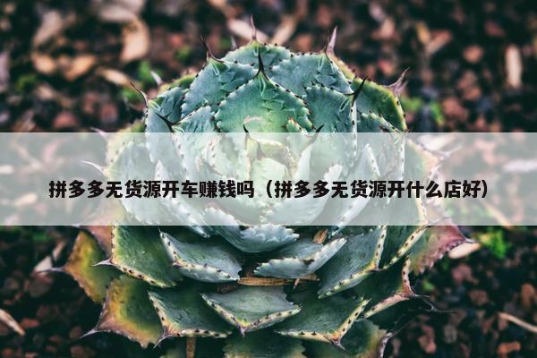 拼多多无货源开车赚钱吗（拼多多无货源开什么店好）