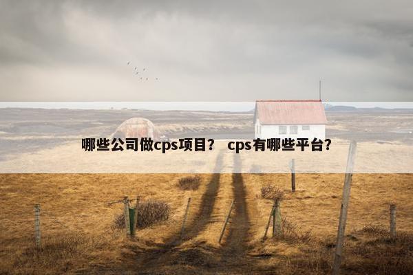 哪些公司做cps项目？ cps有哪些平台？