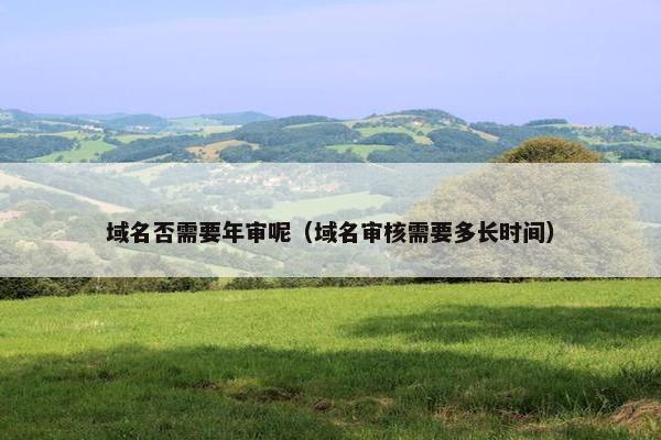 域名否需要年审呢（域名审核需要多长时间）