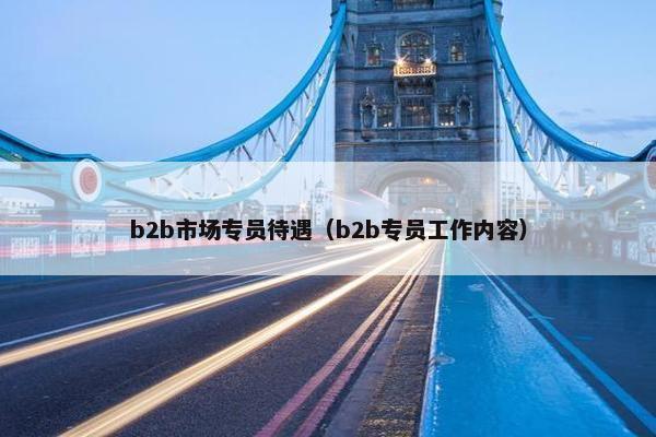 b2b市场专员待遇（b2b专员工作内容）