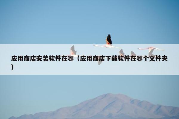 应用商店安装软件在哪（应用商店下载软件在哪个文件夹）
