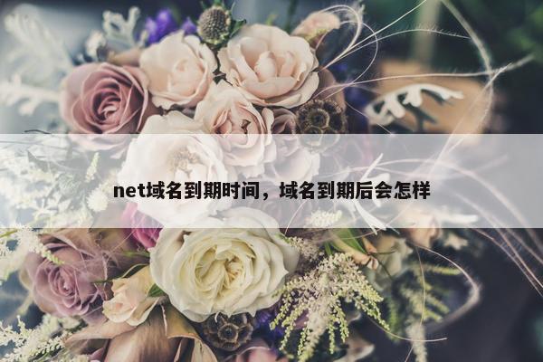 net域名到期时间，域名到期后会怎样