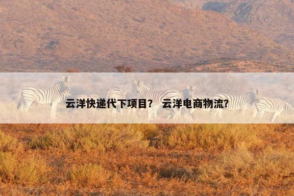 云洋快递代下项目？ 云洋电商物流？
