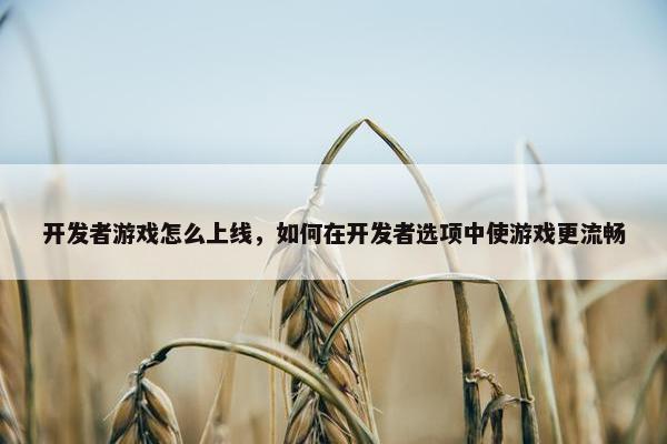 开发者游戏怎么上线，如何在开发者选项中使游戏更流畅
