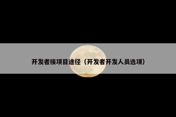 开发者接项目途径（开发者开发人员选项）