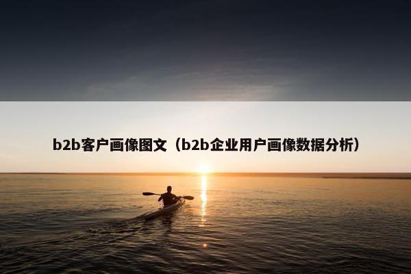 b2b客户画像图文（b2b企业用户画像数据分析）