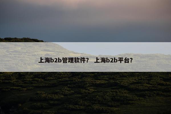 上海b2b管理软件？ 上海b2b平台？