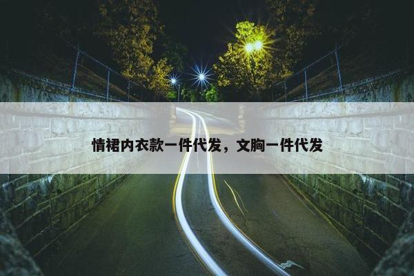 情裙内衣款一件代发，文胸一件代发