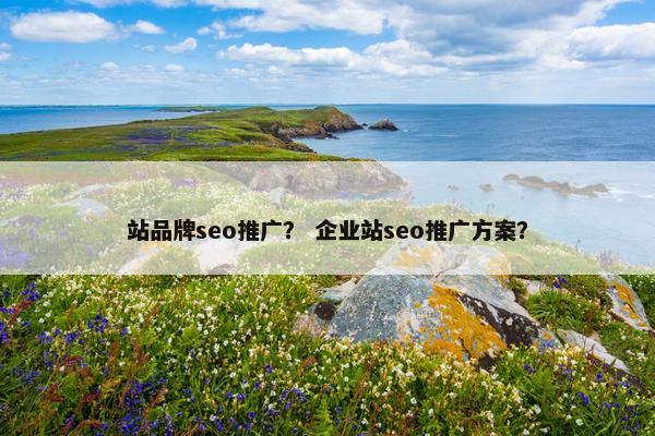 站品牌seo推广？ 企业站seo推广方案？