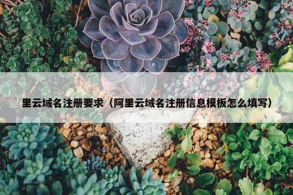 里云域名注册要求（阿里云域名注册信息模板怎么填写）
