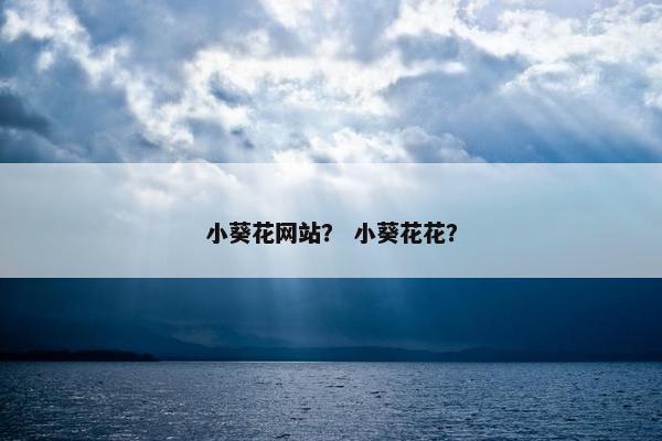 小葵花网站？ 小葵花花？