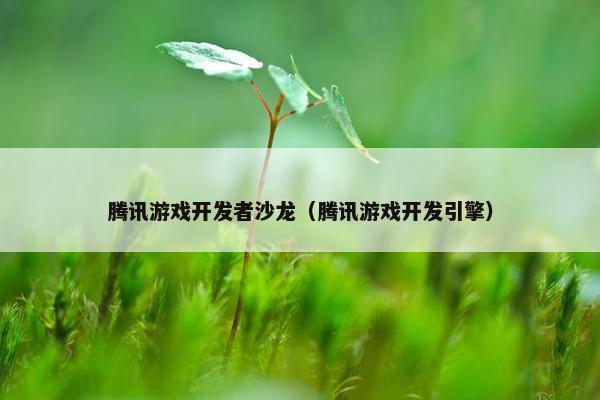 腾讯游戏开发者沙龙（腾讯游戏开发引擎）