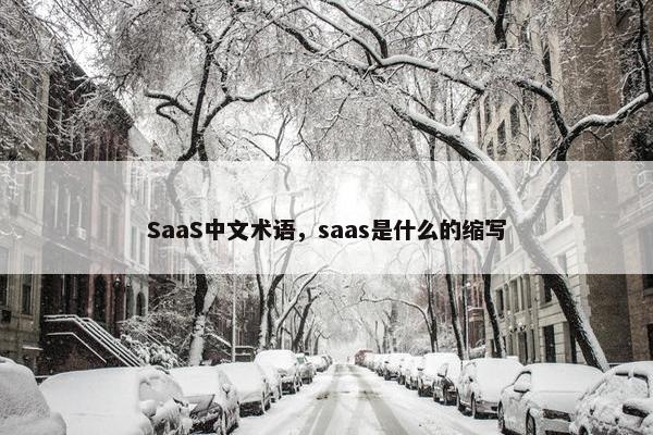 SaaS中文术语，saas是什么的缩写