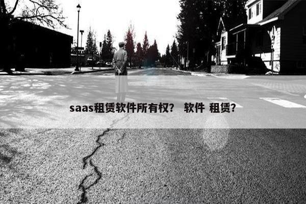 saas租赁软件所有权？ 软件 租赁？