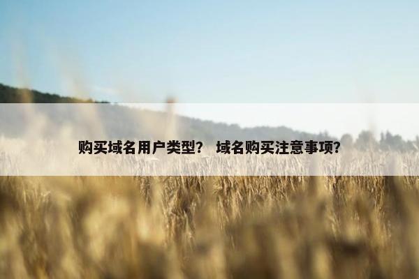 购买域名用户类型？ 域名购买注意事项？