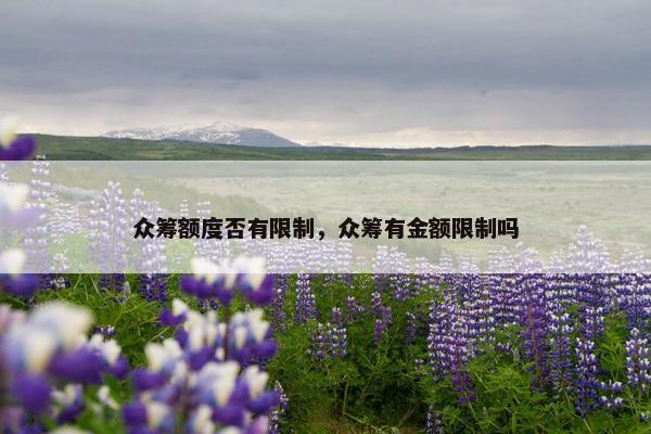 众筹额度否有限制，众筹有金额限制吗