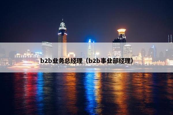 b2b业务总经理（b2b事业部经理）