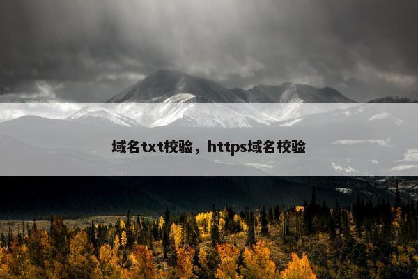 域名txt校验，https域名校验