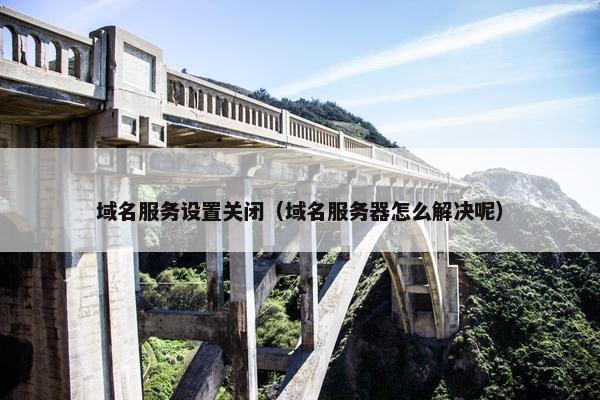 域名服务设置关闭（域名服务器怎么解决呢）