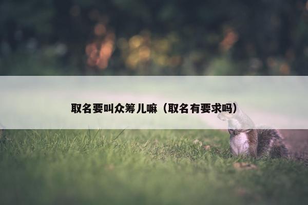 取名要叫众筹儿嘛（取名有要求吗）
