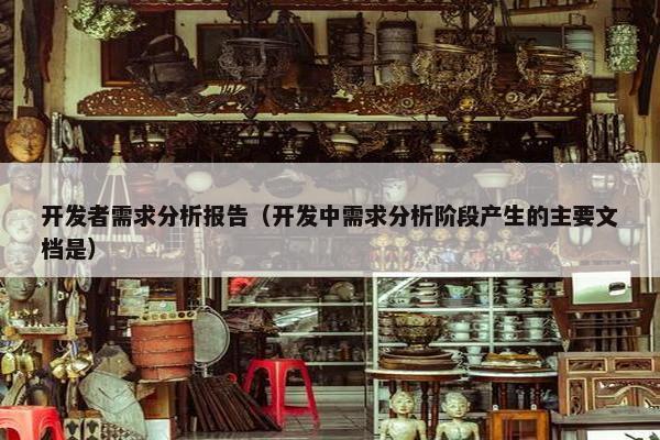 开发者需求分析报告（开发中需求分析阶段产生的主要文档是）