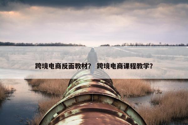 跨境电商反面教材？ 跨境电商课程教学？