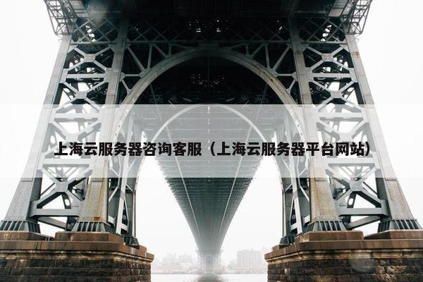 上海云服务器咨询客服（上海云服务器平台网站）
