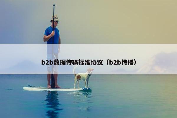 b2b数据传输标准协议（b2b传播）