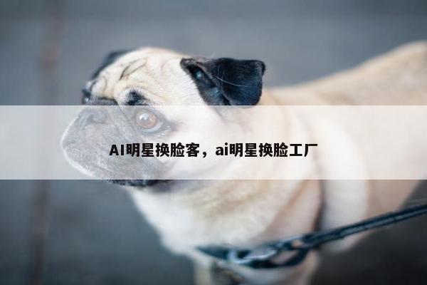 AI明星换脸客，ai明星换脸工厂