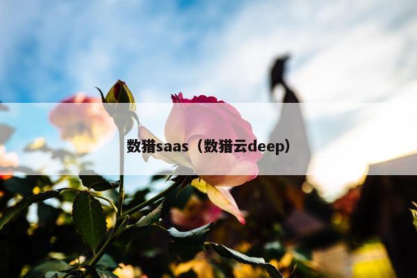 数猎saas（数猎云deep）
