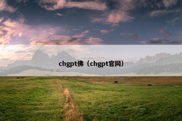 chgpt佛（chgpt官网）