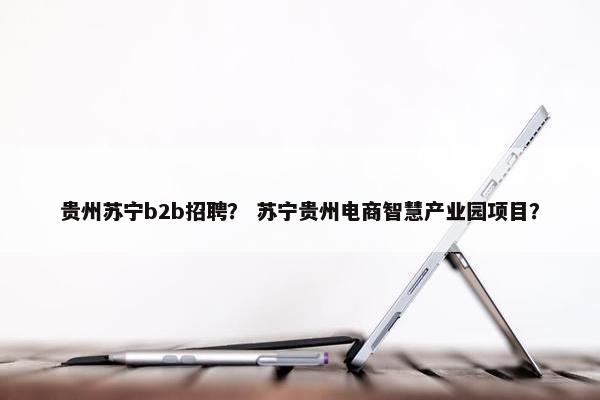 贵州苏宁b2b招聘？ 苏宁贵州电商智慧产业园项目？
