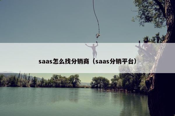 saas怎么找分销商（saas分销平台）